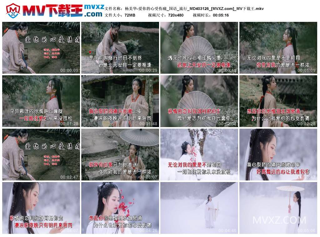 杨美华-爱你的心受伤痛_国语_流行_MD403126